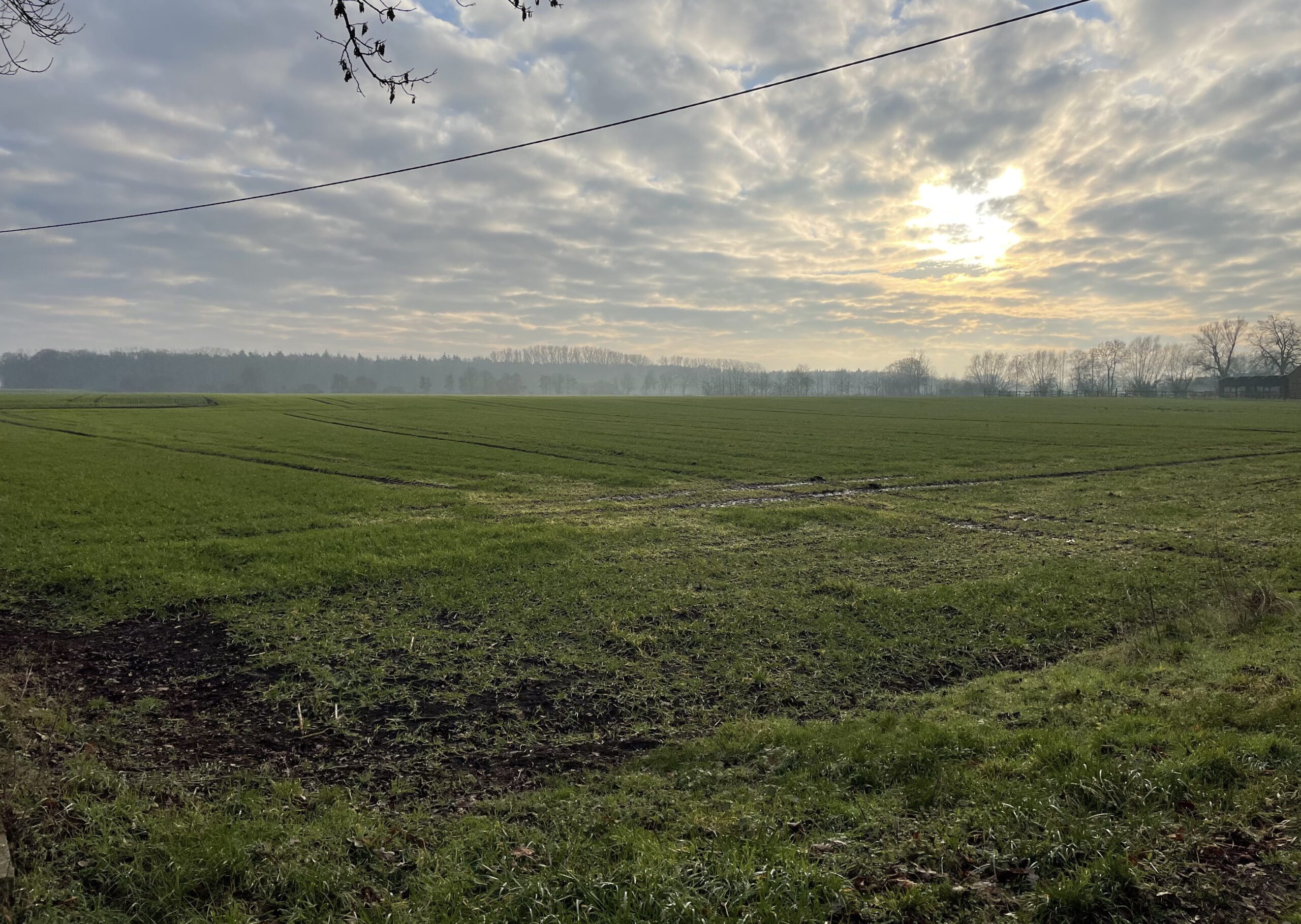 Die Feldmark Böden