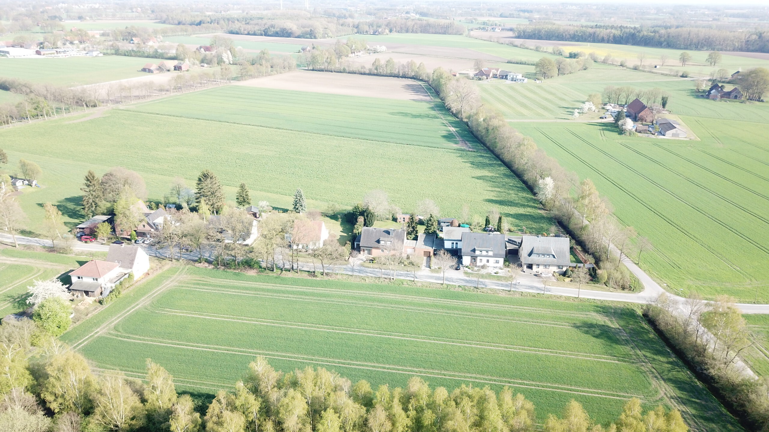 Feldmark